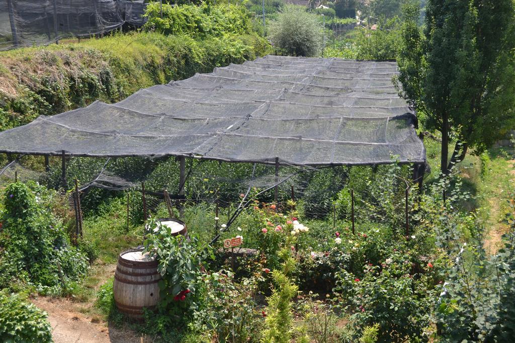 Agriturismo Nonno Tobia Agerola Exterior foto