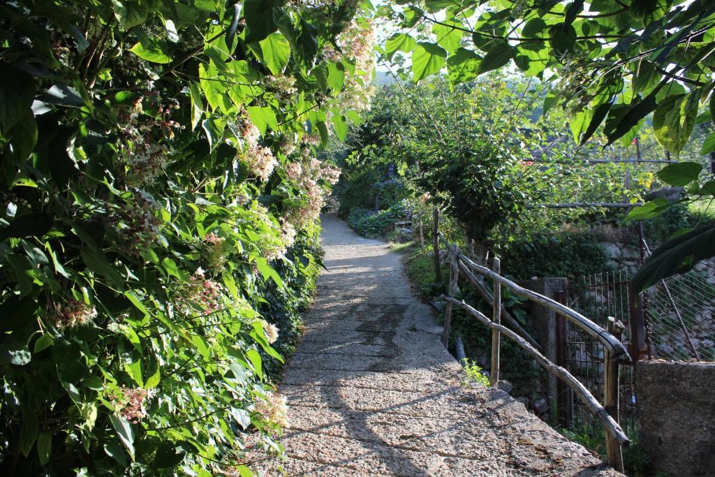 Agriturismo Nonno Tobia Agerola Exterior foto